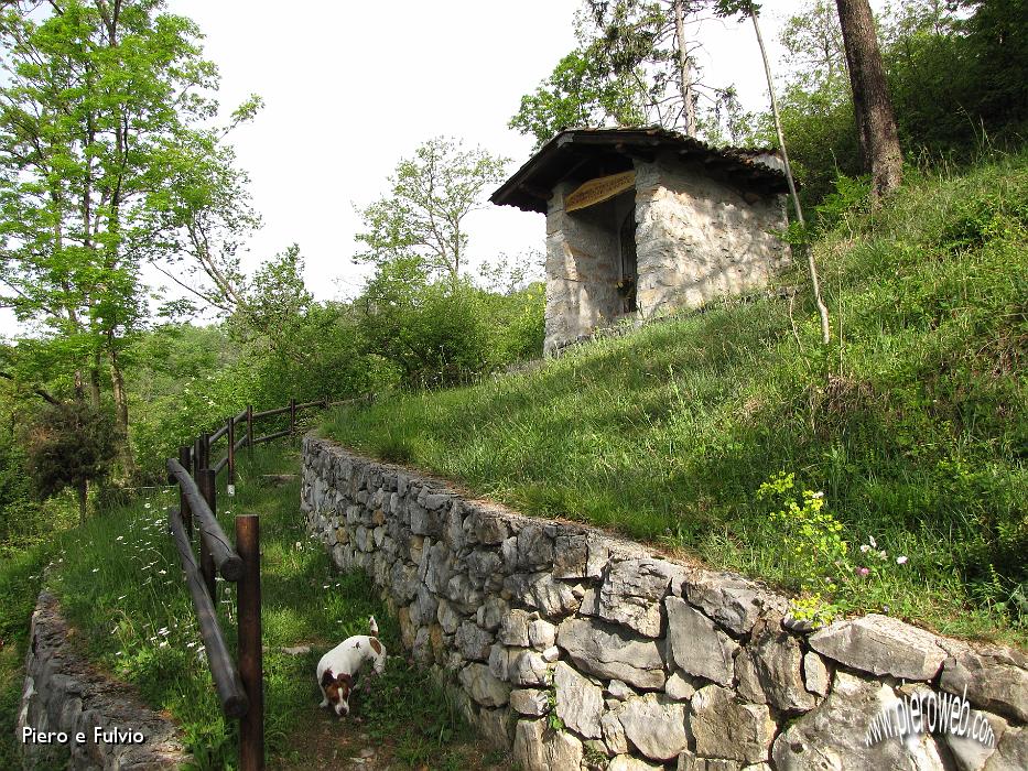vaccaro 008.jpg